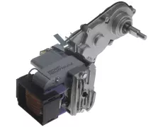 gear motor type