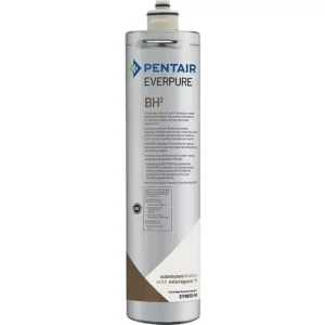 Everpure EV9612-50 BH2 Water Filter Cartridge 11,355 L - Image 1